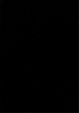 E23 EXECUTIVE 1985 (EN) - Image 28